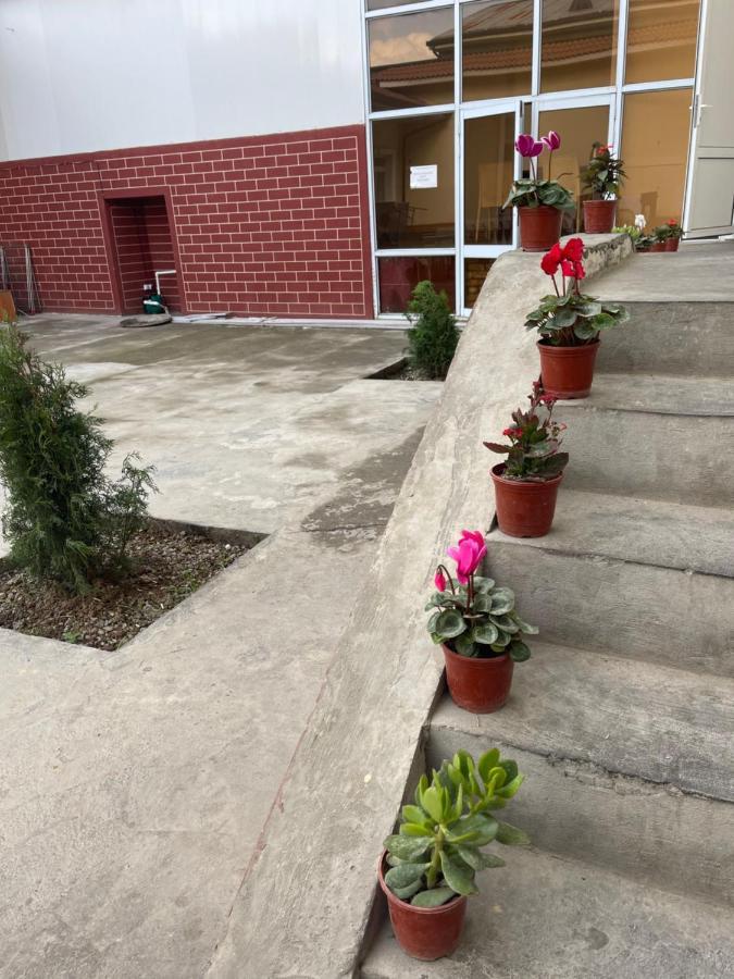 City View Hostel タシュケント エクステリア 写真